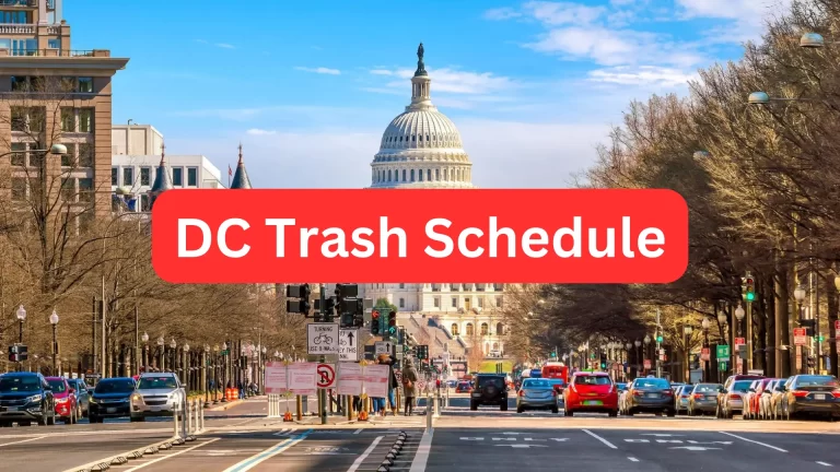 DC Trash Schedule 2023 (Holidays, Bulk Pickup and Instructions)