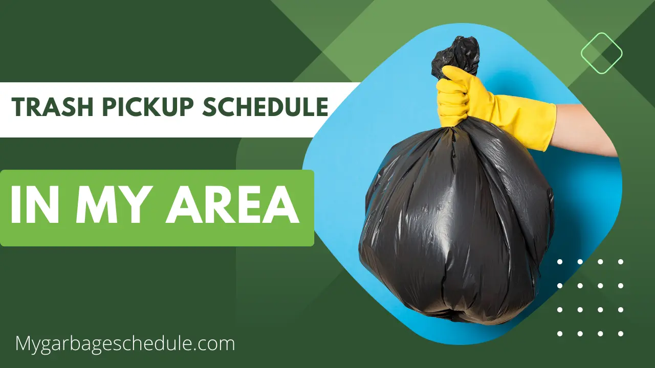 Trash Pickup Schedule in My Area