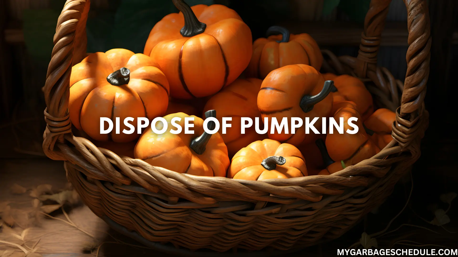 Dispose of Pumpkins