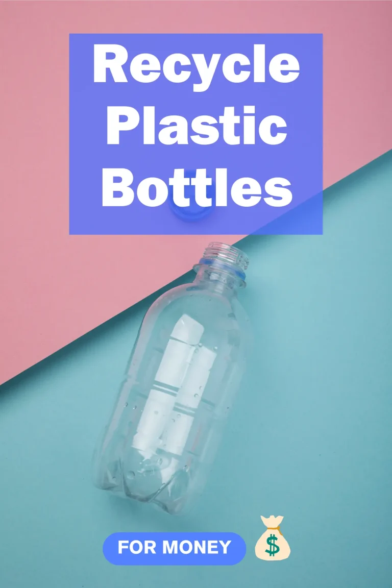 Recycle Plastic Bottles For Money (How Can You Actually Do it!)